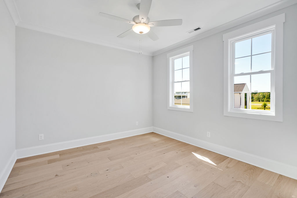 Gallery Images